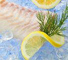 Fischfilet auf Eis mit zwei Zitronenscheiben und Kraut