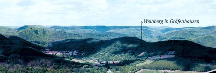 Panoramablick auf den Pfälzerwald mit einem kleinen Dorf