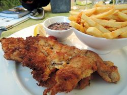 Teller mit Wiener Schnitzel und Pommes frites